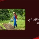 تنسيق حدائق في العين