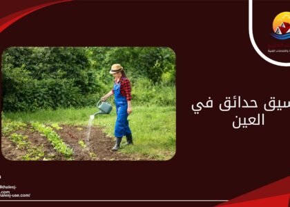 تنسيق حدائق في العين