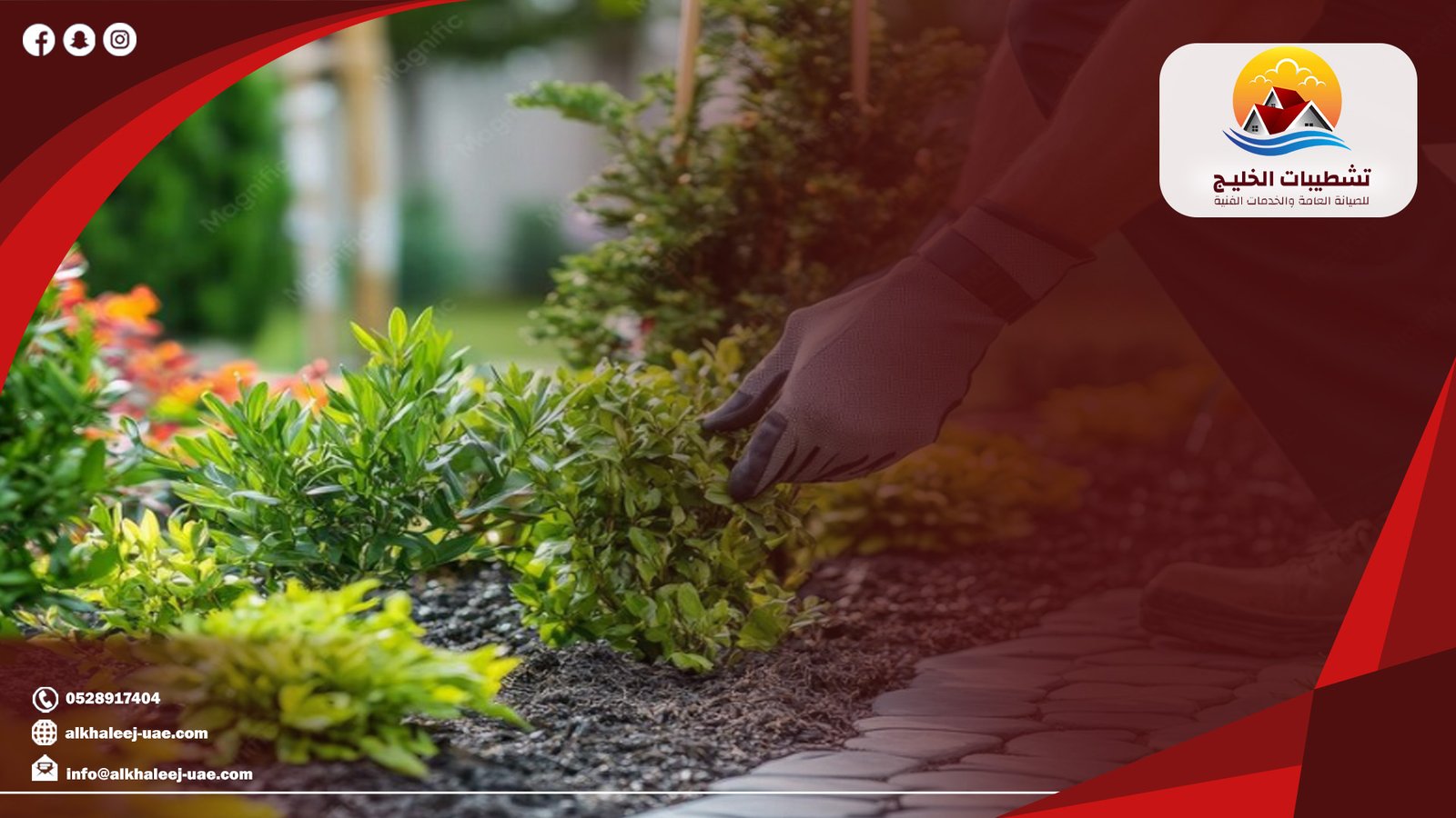 أرخص شركة تنسيق حدائق دبي لتحويل المساحات الخارجية إلى لوحات طبيعية|0528917404 1 أحدث اتجاهات تصميم الحدائق العصرية المناسبة للفلل والمنازل في دبي